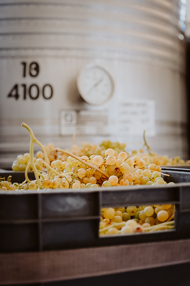 Wein mit wenig Säure