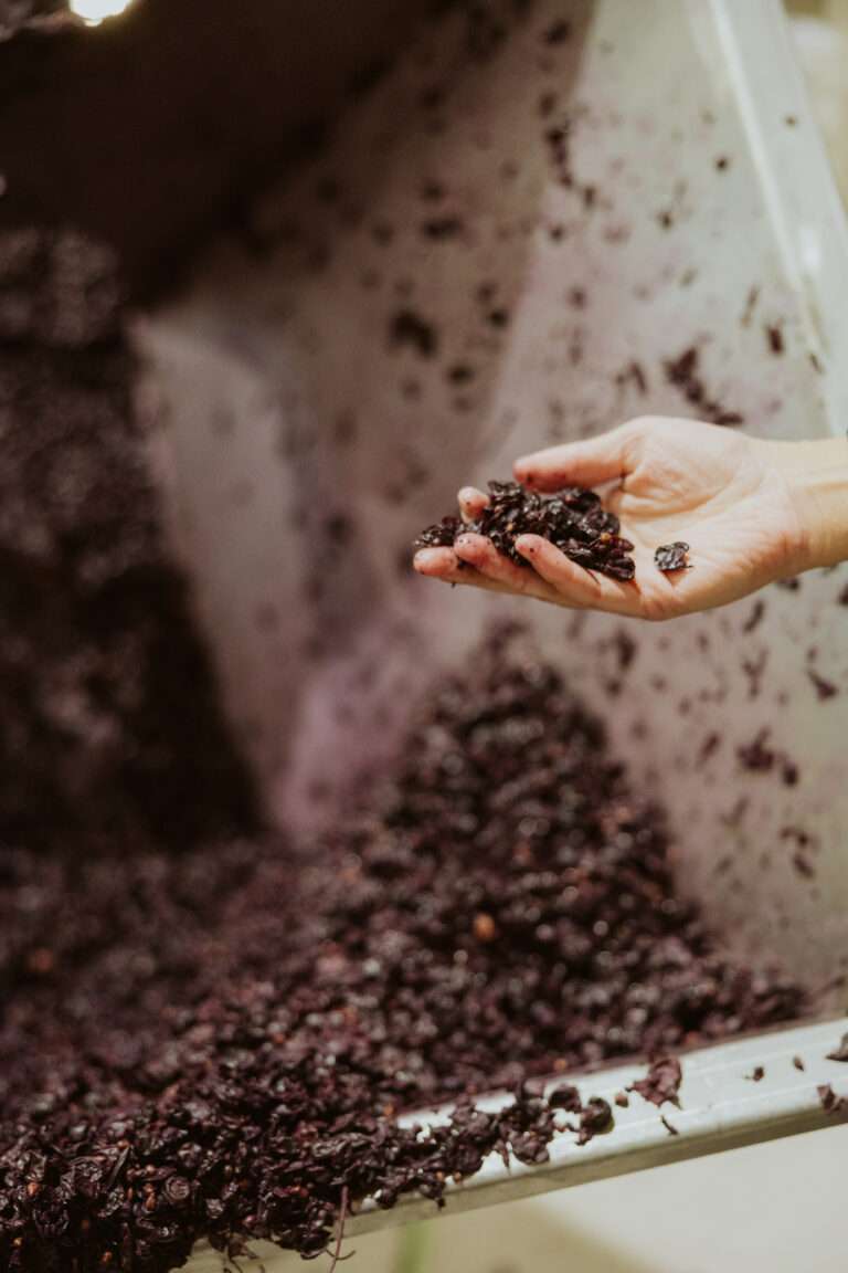 •	Der Schlüssel für die Einzigartigkeit der Weine aus dem Ribera del Duero ist ihre Herkunft. Es ist die Kombination aus Boden, Klima, Reben und den Persönlichkeiten dieser Region, die den Weinen zu ihrem eigenständigen Charakter verhilft.