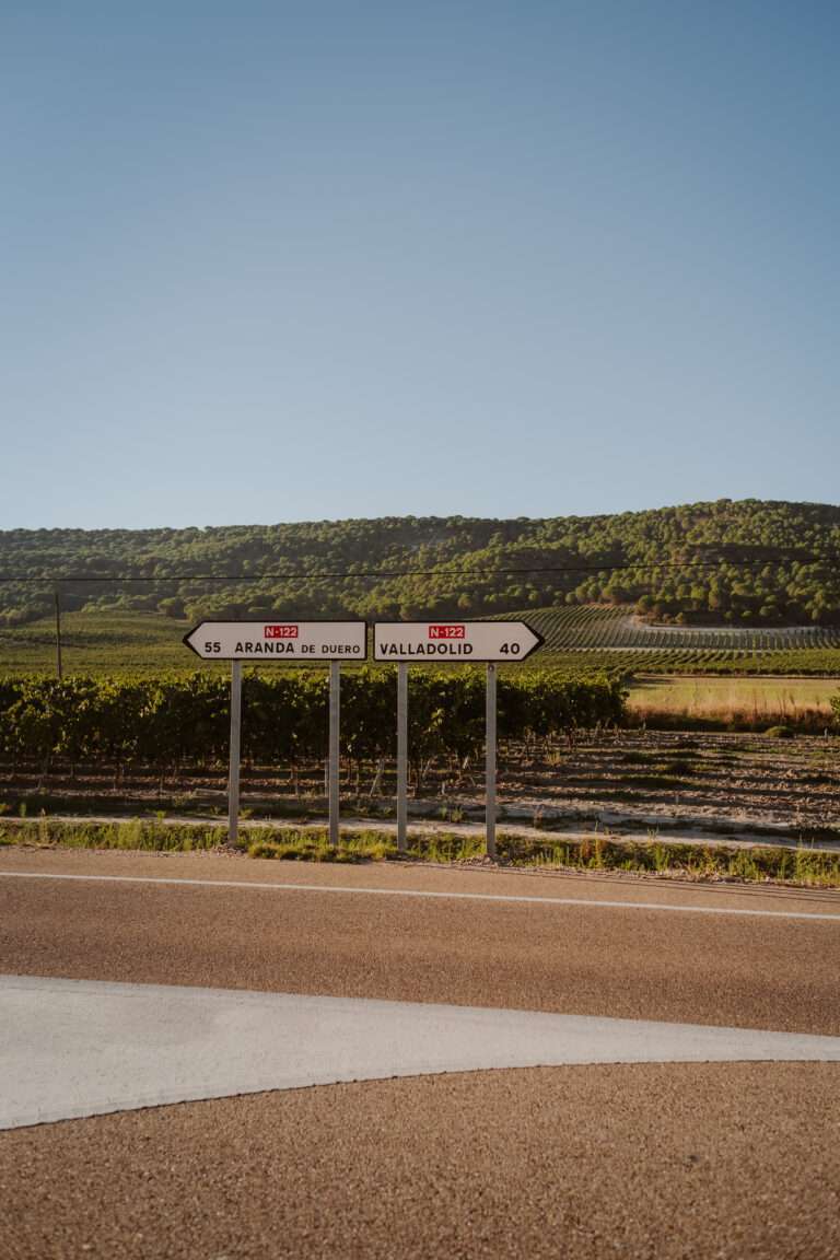 was-ist-ribera-del-duero-fuer-ein-wein