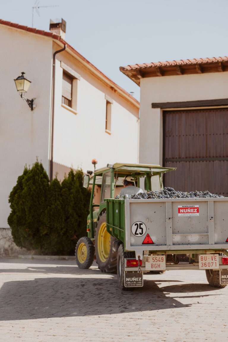 •	Der Schlüssel für die Einzigartigkeit der Weine aus dem Ribera del Duero ist ihre Herkunft. Es ist die Kombination aus Boden, Klima, Reben und den Persönlichkeiten dieser Region, die den Weinen zu ihrem eigenständigen Charakter verhilft.