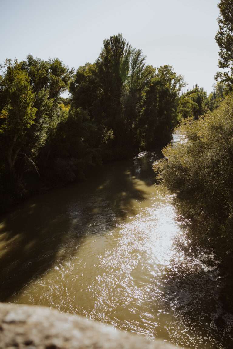 RiberaDelDuero-426 (1)