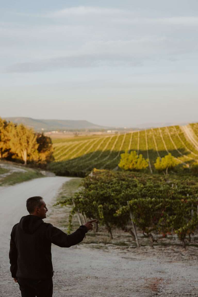 was-ist-ribera-del-duero-fuer-ein-wein