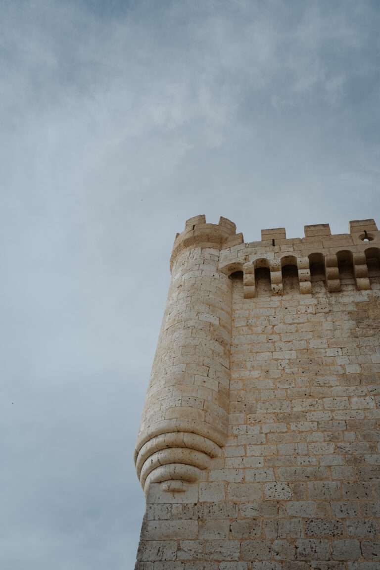 was-ist-ribera-del-duero-fuer-ein-wein