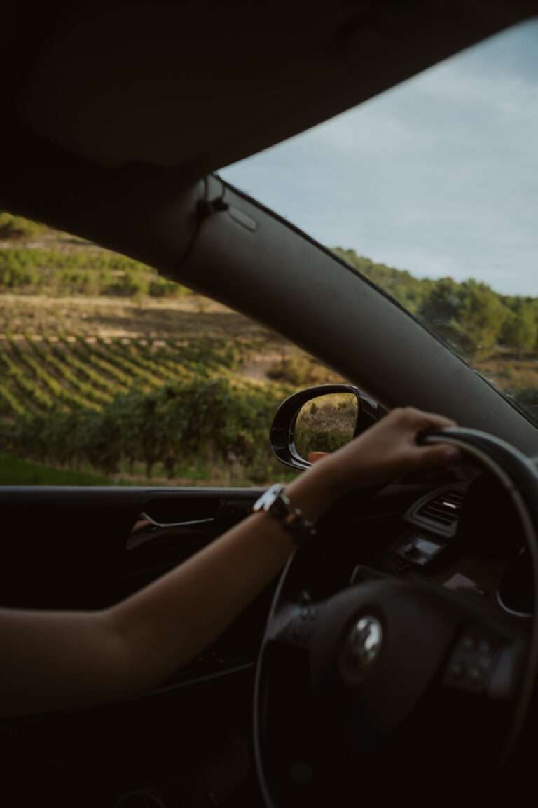 was-ist-ribera-del-duero-fuer-ein-wein