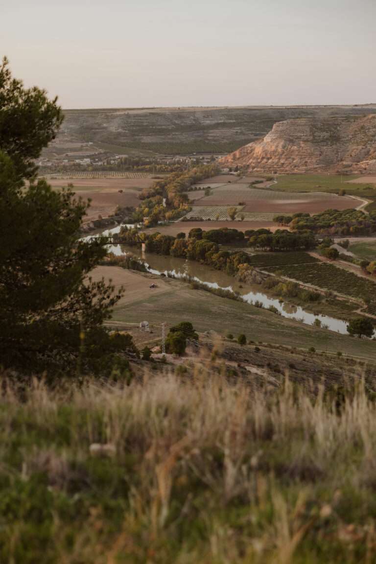 was-ist-ribera-del-duero-fuer-ein-wein